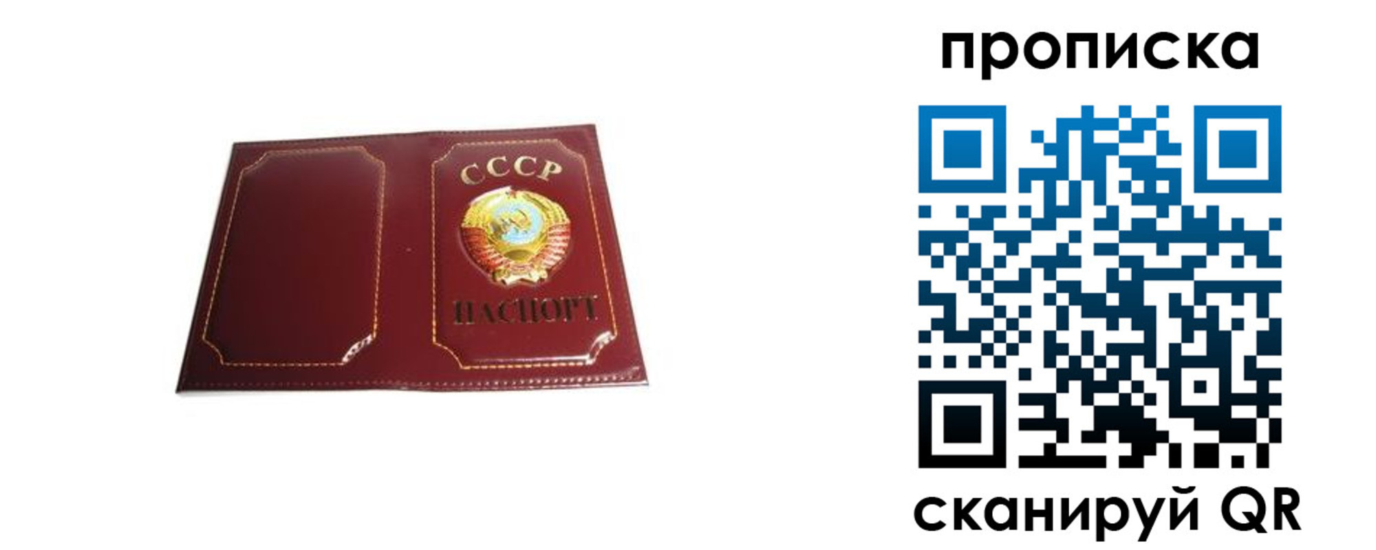 прописка гарантия в Ивановской области